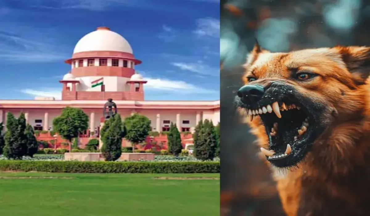 Supreme court on stray dogs ( Credit : Social Media }